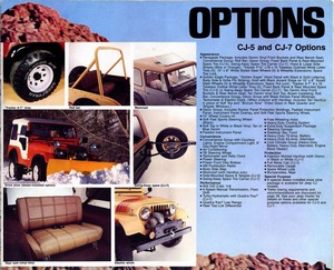 1979 Jeep Full Line-09.jpg